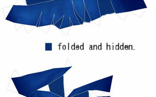 folded_and_hidden_tc.JPG